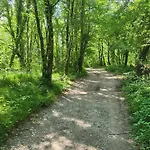 Peaceful Countryside With Terrace - One Bedroom With Terrace