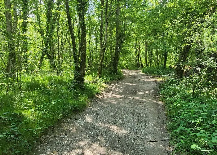 Peaceful Countryside With Terrace - One Bedroom With Terrace